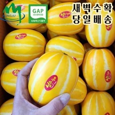 Must Have Item 참외 할인 정보 베스트 6 • 그레잇마트